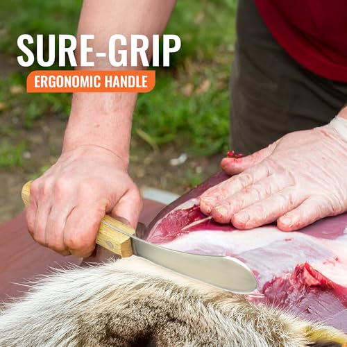 Beaver Knife: Professional Skinning & Fleshing Tool, Curved High-Carbon Steel Blade, Sure-Grip Ergonomic Handle for Beaver, Muskrat, Furbearers