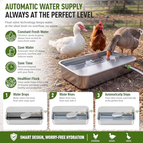 Shimeyao 3 Gallon Automatic Chicken Water Dispenser 304 Stainless Steel Large Capacity Self Filling Poultry Waterer for Hens Ducks Livestock Sturdy Gravity Fed with Float Valve Drinking Bowl