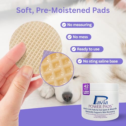 Pavia Pet Health Bundle | Veterinary Thermometer (6-Second Accurate Readings) + Power Pads Anti-Lick Wound Care | for Dogs, Cats & Horses | Essential Care Kit