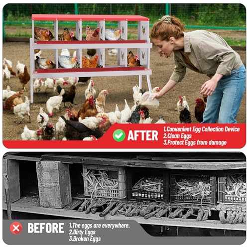Nesting Boxes for Chickens, 6/8/10-Hole Galvanized Steel Chicken Nesting Boxes for Laying Eggs with Egg Rollaway System to Protect Eggs, Easy Egg Collection, for Chicken Coop Backyard Farm