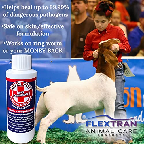 Show Pro Red Goat Blanket Nylon with Mesh Butt for Show Goats - Livestock Supplies for Goat Cover. Free Ring Out Concentrate for Proven Ringworm & Fungus Prevention Included - size: Medium