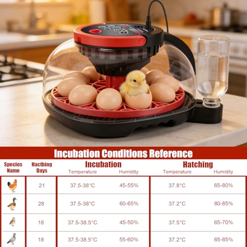 12 Egg Incubators for Hatching Eggs, with 1080P Camera & Smart APP Control | Temperature & Humidity Control, Automatic Egg Turner, Egg Candler, WiFi Chicken Incubator for Chicken, Duck, Quail