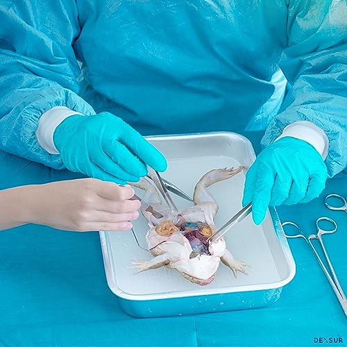 Dissection Kit for Biology Lab & Anatomy - Stainless Steel Scalpel Knife Set for Medical & Veterinary Students, KIT1023-7 Pcs - style: KIT1023 - 7 Pcs