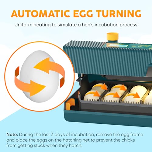 Okkobi M10 Incubator for Hatching Eggs - Ideal for All Ages - Automatic Turner and Humidity Control - Integrated Candler - 10 Eggs - Green & Yellow