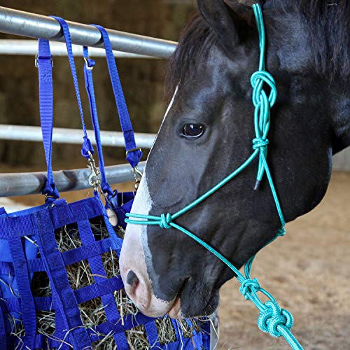 Majestic Ally 1/4" Rope 4 Knot Stiff Polyester Training Halter with 10’ Matching Lead Rope for Horses – Full (Black, Full) (Pack of 2) - color: Black, size: Full (Pack of 2)