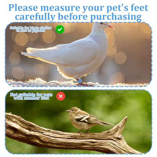 100 Pcs 8mm Birds Leg Rings, 10 Colors Readable Numbered Quail Pigeons Chick Identification Leg Bands Clip on Leg Rings for Baby Chick Finch Bantam Dove Small Birds