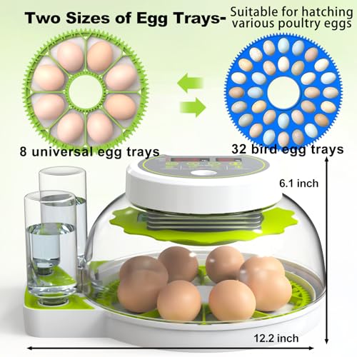 Egg Incubators for Hatching Eggs, 8/30 Chicken Egg Incubator with Automatic Egg Turning, Temperature Control & Humidity Display, Egg Candler, Home Use for Chicken, Duck, Quail - 2 Egg Trays Green - color: Green