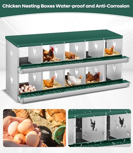 Garvee Chicken Nesting Box, 10 Compartment Metal Nesting Box | Wall Mount Chicken Nesting Boxes for Laying Eggs,Easy Egg Collection,10 Room Nest Boxes for Chickens - color: Red, size: Green 10 Compartment