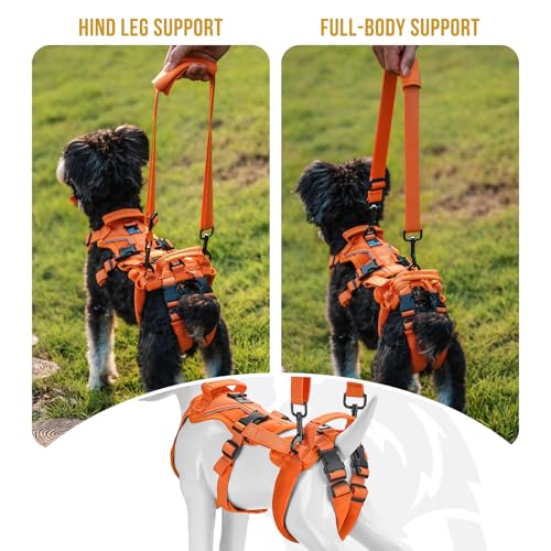 OneTigris Lift Harness for Small Dogs XS, Sling Carrier to Help Lift and Walk, Outdoor Full Body Support with Reflective Straps for Back Legs - color: Orange, size: Small