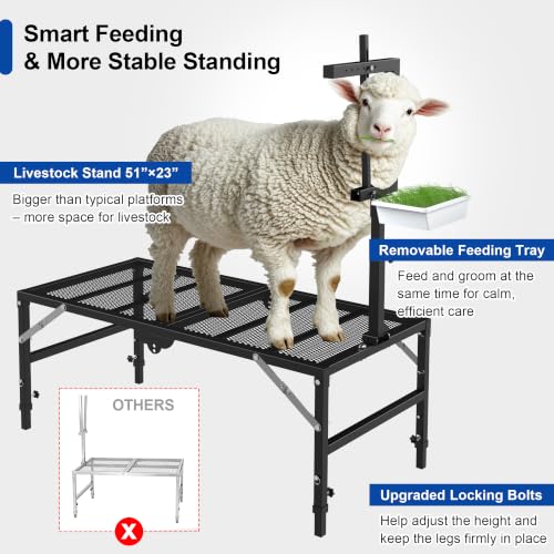 Foldable Goat Miliking Stand - 51x23 inch Metal Livestock Stand with Removable Feeding Tray, 500lbs Capacity Goat Sheep Stand for Trimming Shearing Milking Hoof with Adjustable Headpiece and Height