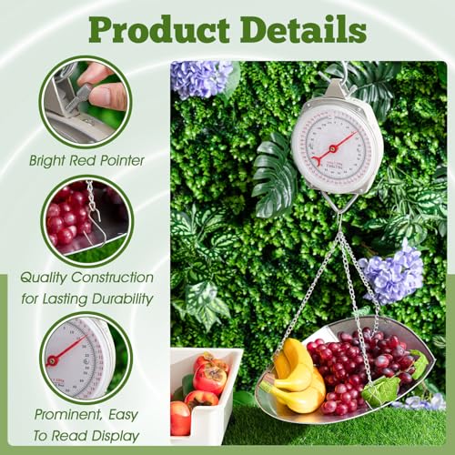 Tellegloww 1 Set 110 lbs Large Display Hanging Scale with Scale Scoop Kitchen Dial Weight Scale Silver Industrial Spring Scales for Shopping Traveling Food Produce Weighing