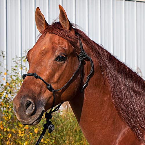 Dura-Tech Rope Control Halter for Horses w/13.5 Lead | Provides Optimal Control | Adjusts to Fit Various Breeds | Includes Durable 13.5' Lead | Soft Yet Heavy-Duty Poly Rope