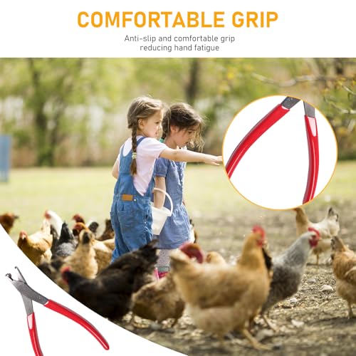 Leg Band Pliers Chicken Leg Rings Pliers Leg Band Application | Pliers For Poultry Chickens Ducks Pheasants Steel Red