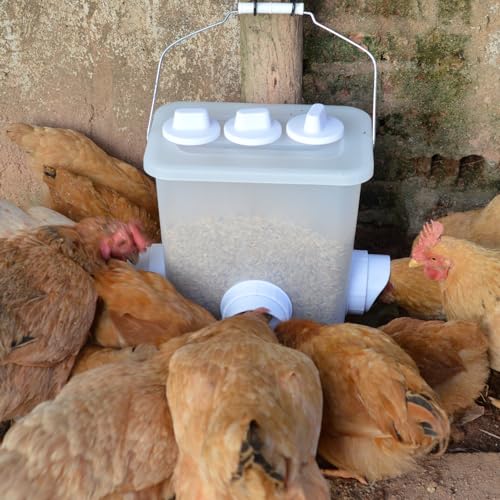 Automatic Chicken Feeder Chicken Feed Container Hanging Chicken Feeder Rainproof Poultry Feeder Bucket (Frosted) - color: Frosted