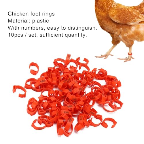 100Pcs Chicken Leg Rings, 5 Colors Readable Numbered Chicken Identification Leg Bands Card Slots Design Poultry Leg Tags for Chicks Ducks (Red (100 Pieces per Pack)) - color: Red (100 Pieces Per Pack)