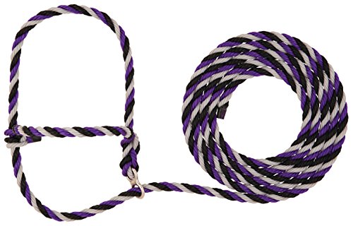Weaver Livestock Stierwalt Breaking Halter, Purple/Black/Gray - color: Purple/Black/Gray