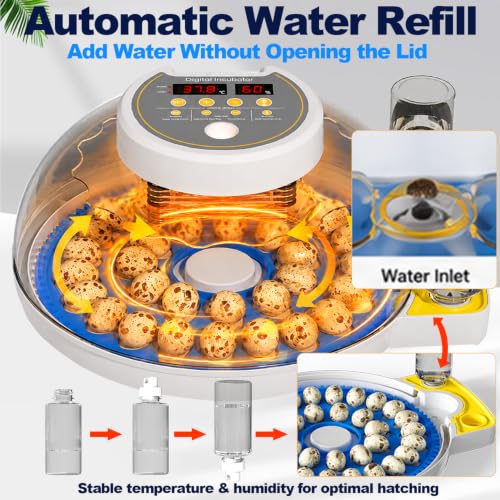 32 Quail Egg Incubator for Hatching Eggs, Dual Power Supply, Automatic Egg Turner, Humidity & Temperature Monitor, Egg Candler, External Water Filling, Bird Egg Incubator for Quail Dove