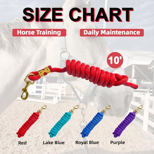 5/8" x 8' Nylon Horse Lead Rope with Cast Iron Hardware(Red) | Durable nylon material, cast iron hardware, ideal for daily use, training and showing. - color: Red
