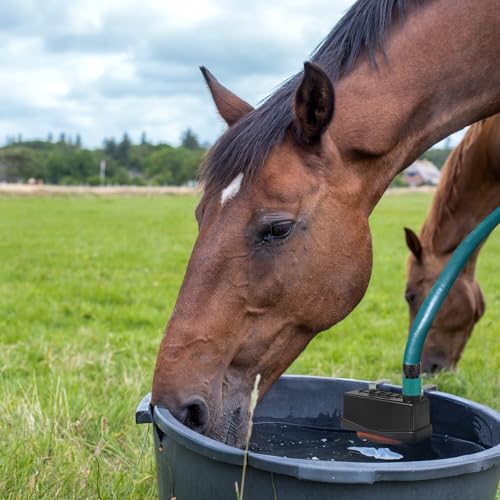 Water Trough Float Valve for Stock Tank,w/Hose Connector,Fit 3/4" NPT Hose | Livestock Stock Water Tank Float Valve for Pond Farm Cattle Goat Horse Swimming Pool, 2PCS Autofill Livestock Waterer Level - style: Stock Tank Float Valve with Connector-2PCS