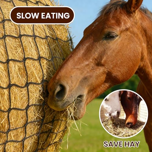6x6 FT Round Bale Hay Net, 2-Inch Slow Feed for Horses and Goats | Knotless heavy-duty hay feeder, fits 4x5 and 5x5 round bales, 2-inch holes help slow feeding and reduce hay waste - size: 6x6 ft