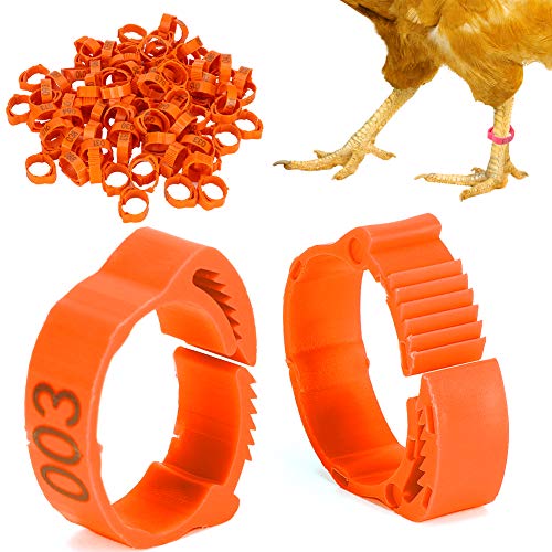 GLOGLOW Chicken Leg Rings 100PCS, 0.7-0.9 Inch Adjustable Poultry Identification Bands, Durable Plastic Foot for Chicken Ducks Geese