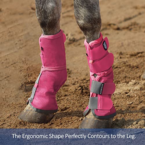 Harrison Howard Horse Leg Guard Stomp Reduction Hook and Loop Closures Rubbing Prevention - color: Magenta, size: Arab Medium (Pack of 4)