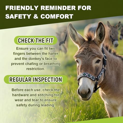 1 Set Mini Donkey Halter with Lead Rope Adjust, Black | Nylon Head Collar, Cute and Stylish, for Miniature Donkey and Small Equines, Farm Ranch Pasture Outdoor, Gingham Plaid Trim - color: Black