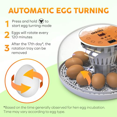 Okkobi M12 Egg Incubator with Automatic Turner and Humidity Control - 12/24 Eggs, 360° View, Easy to Use and Clean - Incubadora de Huevos de Gallina - Made for US - White & Orange - color: Orange
