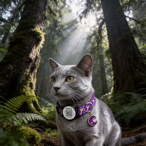 2PCS Breakaway Cat Collars with QR Code Bell Moons Stars Cute Kitty Adjustable Safe Kitten Collars with Pendant Glow in The Dark. Smart ID tag.Real-time scan alerts (Purple&Pink) - color: Star & Moons - Purple & Pink
