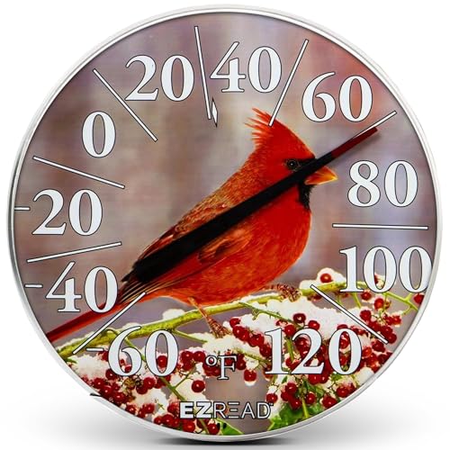 EZREAD Hanging Dial Thermometer 840-1225 Weather Thermometers for Indoor and Outdoor Use, Large 12.5 Inch Diameter, Easy to Read Numbers, Winter Cardinal - color: Winter Cardinal