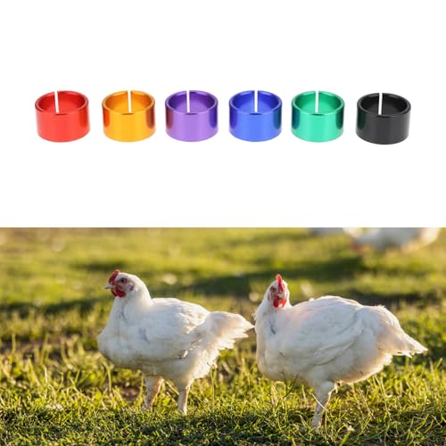 OTOTEC 24PCS Bird Leg Bands Aluminum 8mm Inner Diameter 9.5x9.5x6mm Compatible with Birds and Small Poultry