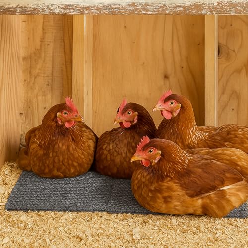 Chicken Nesting Pads, 8 Pack Nesting Pads for Chicken Coop, 10×10 Inch Washable Laying Box Pads for Chickens Coop, Reusable Chicken Laying Mats(10” x 10”, Grey)