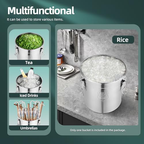 5.5Gal 304 Stainless Steel Airtight Canister with Lid and Locking Clamp, Rice Cereal Grain Canisters Container, Metal Rice Bucket for Kitchen,Dog Food, Bird Seed, Coffee, Cookies Storage(Silver-21L) - color: Silver-21L