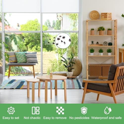 80 Pack Window Fly Traps Sticky,Clear Fly Paper Indoor for Home,Window Sticky Traps Fruit and Housefly Trap Indoor Fly Catcher Bug Traps Gnat Catcher Killer - style: Fly Traps Sticky