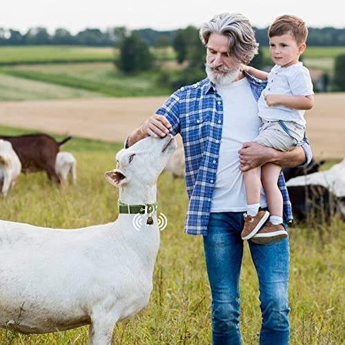 Goat Collars with Bells, 5 Pcs Adjustable Nylon Sheep Collar with 10 Pcs Anti-Lost Loud Brass Bell and Key Ring Baby Goat Supplies Accessories for Farm Animal Goat Sheep Cow Horse Dog
