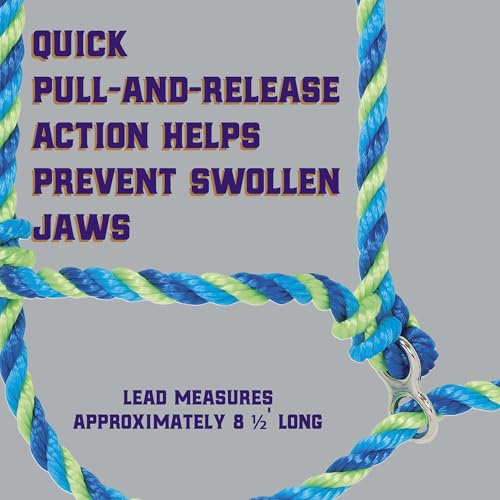 Weaver Livestock Poly Rope Breaking Cattle Halter, Adjustable Cow Calf Halter, Livestock Handling Equipment, Blue/Hurricane Blue/Lime Zest - color: Blue/Hurricane Blue/Lime Zest