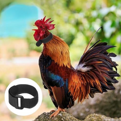M METERXITY 10-Pack Rooster Collars, 8.07" x 0.79" Adjustable Soft Polyester Anti-Noise Neck Belt for Chickens and Poultry Birds, Noise Control Collar [Black] - color: Black
