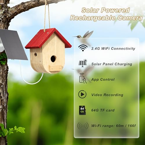 Hummingbird House with Camera Solar Powered - style: Smart Hummingbird House