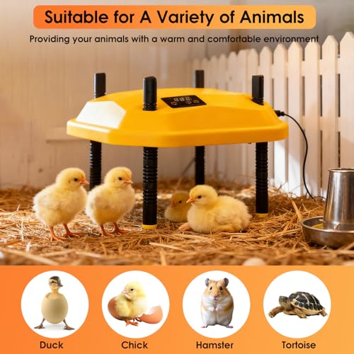 10 * 10inch Chick Brooder Heater Plate with Temperature Adjustable and Display,Adjustable Height & Angle Brooder Box for Baby Chicks Quail Duckling Chicken Heat Warmer Lamp Poultry Habitat Supplies
