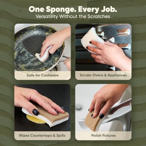 Plant-Based Kitchen Sponges (12 Pack) | USDA Biobased Certified | FSC & PETA Approved | Natural Cellulose & Coconut Scrubber Sponge | S-Shaped Design | Eco-Friendly, Non-Scratch, Non-Toxic & Vegan - size: 12 Pack