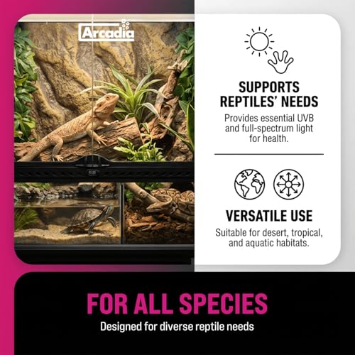 Arcadia T5 UVB Reptile Light Fixture Kit 24" Long 24 Watts 14% UVB Dragon – Complete UVB Light for Reptiles, Turtles, Snake, Bearded Dragon Lamp, Long Lasting Easy to Use Professional Lighting