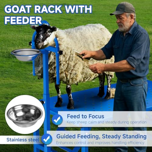 Goat Milking Stand with Ramp, 600LBS Foldable Livestock Trimming Platform, Metal Grooming Stand with Adjustable Headpiece & Stainless Steel Feeder for Nubian & Dwarf Goats