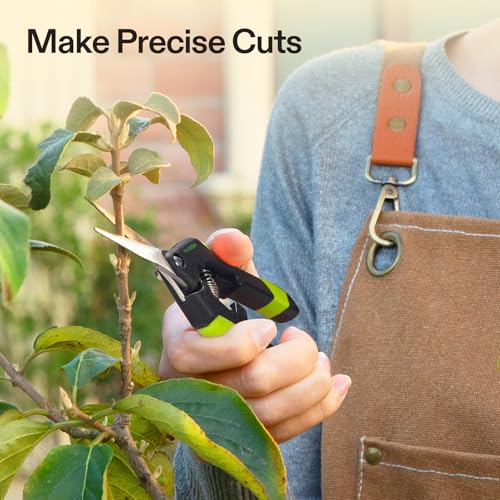 VIVOSUN 6.5 Inch Garden Scissors, Black Pruning Shears for Plants, 2-Pack | Straight Precision Stainless Steel Blades, Comfort Ergonomic Grips, Ideal Snip for Deadheading, Trimming & Shaping Plants - style: Black Straight Blade