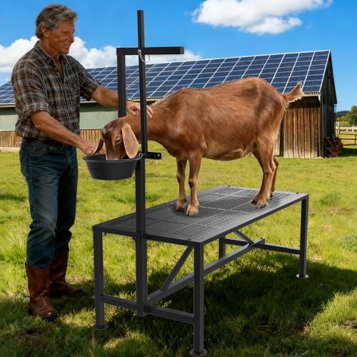 Upgrade Goat Milk Stand with Feed Bin, 600lbs Goat Stand for Grooming & Hoof Trimming, 1mm Thick Platform & Anti-Slip Design, Goat Grooming Stand with Firm Head Lock and Adjustable Head - size: L - 48"L x 19"H