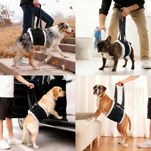 Dog Lift Harness Sling for Back Legs, Adjustable Rear Leg Support & Mobility Aid, Hip Support for Senior/Disabled Dogs, Soft Fleece Lining, Padded Handles, for CCL/ACL Surgery (Black, Medium) - size: Medium