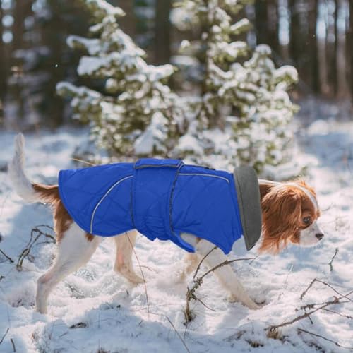Kuoser Dog Coat Thermal Fleece Lined Dog Jacket, Adjustable Hook & Loop Dogs Coats for Medium Dogs Windproof Reflective Puppy Snow Jackets Pet Cold Weather Clothes with Harness Hole, Blue, M - color: Blue, size: Medium (Chest: 42 - 52CM / 16.53" - 20.47")