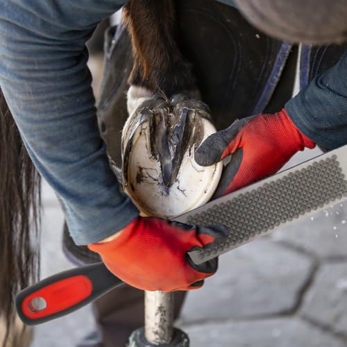 12 Inch Hoof Rasp & Farrier File with Ergonomic Non-Slip Rubber Handle | Heavy Duty Carbon Steel File Dual Sided Coarse & Fine Teeth Hoof Trimming Care Tool with Hanging Hole for Horses Cows Goats