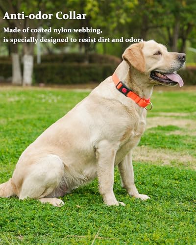 Waterproof Martingale Collar for Dogs,Easy to Clean Dog Collars with Safety Quick Release Buckle,Rubber Collar for Medium Large Dogs Walking Training (Orange, L (19.6-25.9inch)) - color: Orange, size: L (19.6-25.9inch)