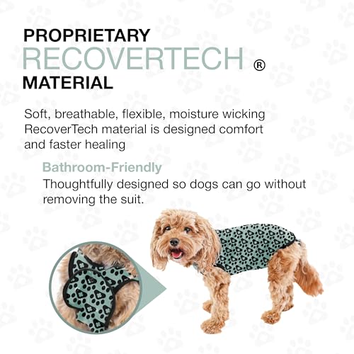 Dog Surgery Recovery Suit, Male Female After Spay Neuter Onesie | Soft Breathable Cotton, Anti-licking Cone Alternative, Protects Stitches & Abdominal Wounds, Patented Clip-up Potty System - color: Harbor Grey, size: Mini