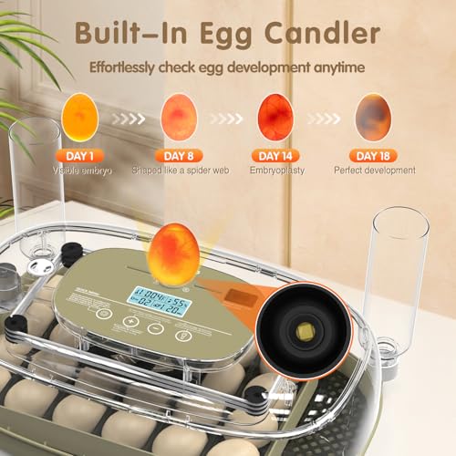 Egg Incubators Incubator for Hatching Eggs 24 Eggs Egg Incubator for Lab Home Farm with Automatic Egg Turning for Chicken, Ducks, Goose, Quail - size: 24 eggs
